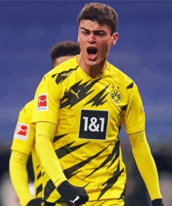 Bvb Footballer Giovanni Reyna Paint By Numbers