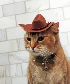 Cat With Brown Hat Paint By Number