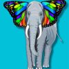 Colorful Elephant Butterfly Paint By Numbe