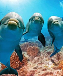 Cute Dolphins In The Ocean Paint By Numbers