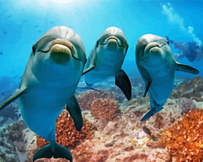 Cute Dolphins In The Ocean Paint By Numbers