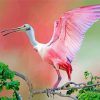 Cute Roseate Spoonbill Paint By Number