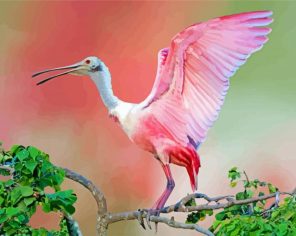 Cute Roseate Spoonbill Paint By Number