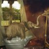 Elephant In Bathroom Enjoying His Time Paint By Number