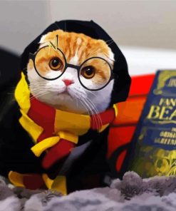 Hufflepuff Kitty Paint By Numbers