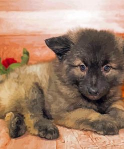 Male Keeshond Puppy Paint By Numbers
