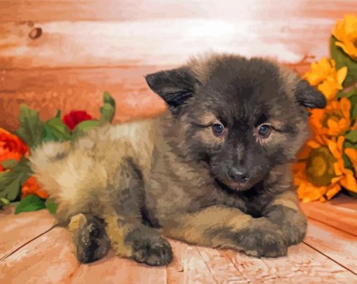 Male Keeshond Puppy Paint By Numbers