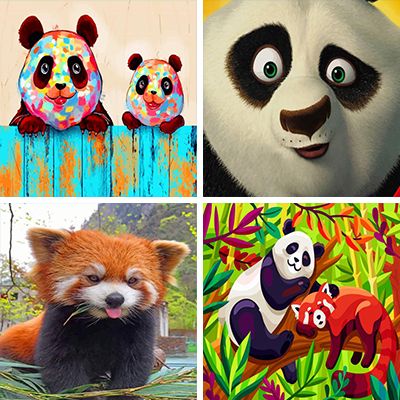 pandas paint by numbers