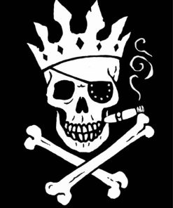 Pirate Art Flag Skeleton Paint By Numbers
