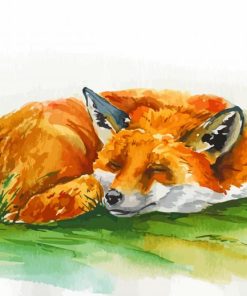 Sleeping Fox Watercolor Paint By Number
