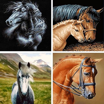 Stallions paint by numbers