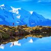 Water Reflection Mont Blanc Italy Paint By Numbers