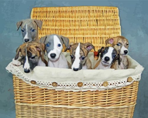 Whippet Puppies In Basket Paint By Numbers