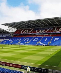 Cardiff City Stadium Football Club Paint By Numbers