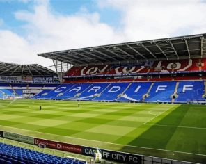 Cardiff City Stadium Football Club Paint By Numbers