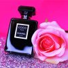 Coco Noir Rose Paint By Numbers