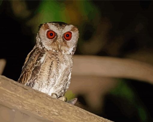 Philippine Scops Owl On Branch Paint By Numbers