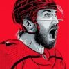 Washington Capitals Art Paint By Numbers