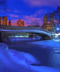 Winter Central Park Paint By Numbers