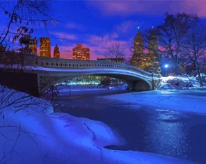 Winter Central Park Paint By Numbers