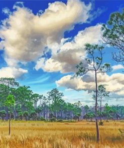 Big Cypress Landscape Paint By Numbers