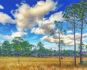 Big Cypress Landscape Paint By Numbers