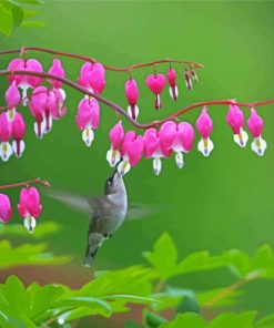 Bird On Bleeding Heart Paint By Numbers