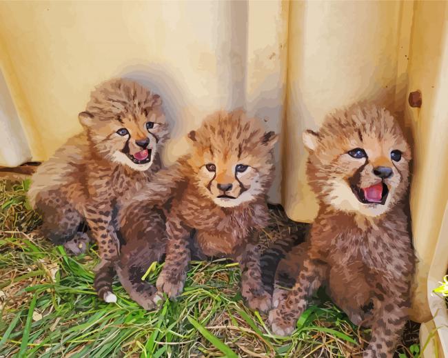 Cheetah Babies Paint By Numbers