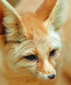 Close Up Fennec Fox Paint By Numbers