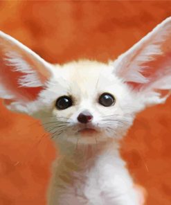 Fennec Fox With Big Ears Paint By Numbers