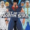 Fist Of The North Star Vintage Anime Poster Paint By Numbers