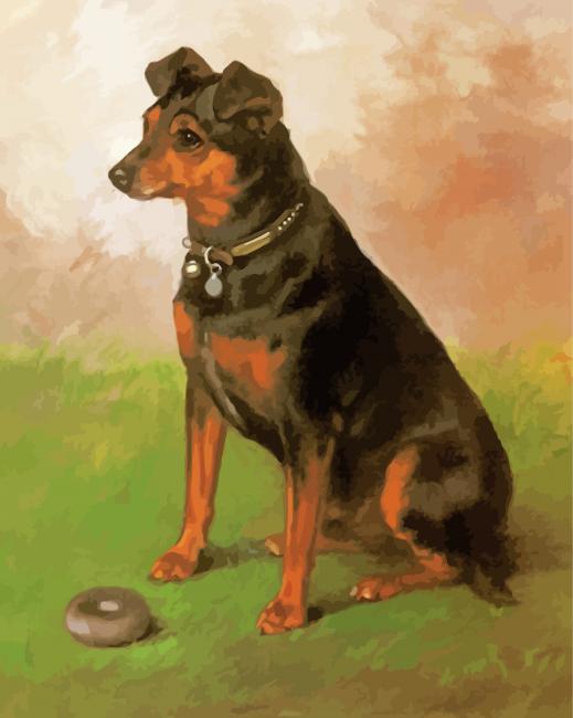 Manchester Terrier Dog Art Paint By Numbers