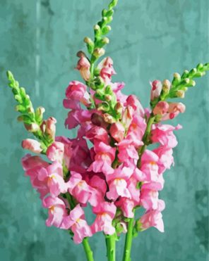 Pink Snapdragons Plant Paint By Numbers