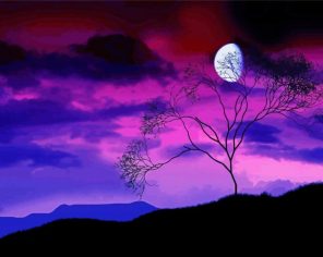 Purple Scene At Night Paint By Numbers