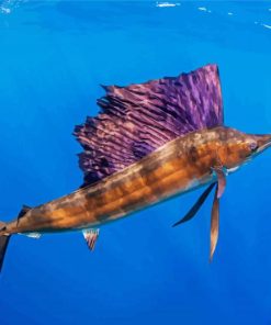 Sailfish Paint By Numbers