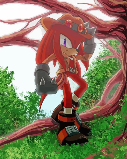 Sonic The Hedgehog Knuckles The Echidna Paint By Numbers