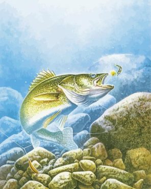 Walleye Fishing Paint By Numbers