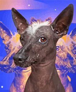 Xolo Dog Head Paint By Numbers
