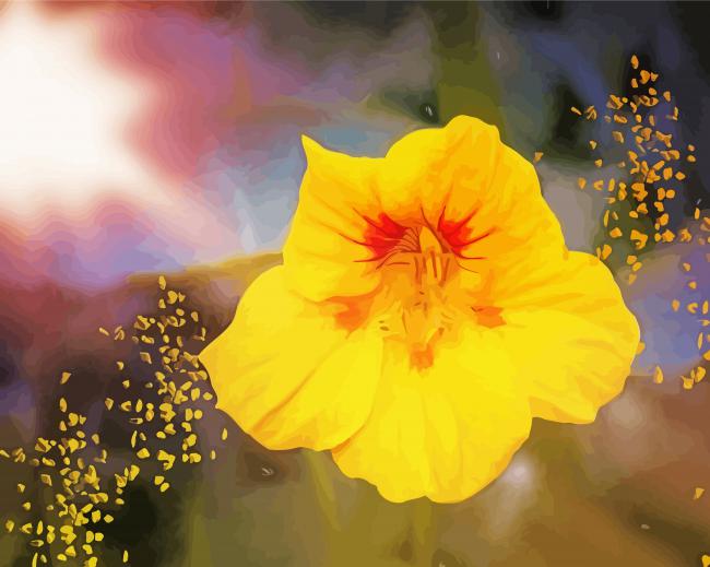 Yellow Nasturtium Art Paint By Numbers