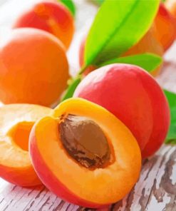 Apricot Fruits Paint By Numbers