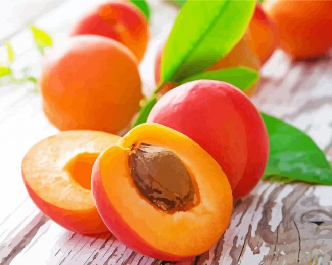 Apricot Fruits Paint By Numbers