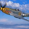 Cool P51 Mustang Fighter Paint By Numbers