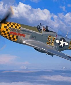 Cool P51 Mustang Fighter Paint By Numbers