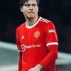 Handsome Victor Lindelof Paint By Numbers