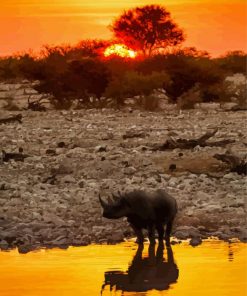 Rhino Sunset Reflection In Water Paint By Numbers