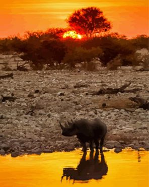 Rhino Sunset Reflection In Water Paint By Numbers