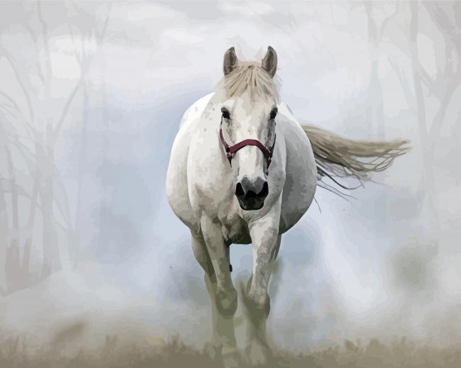 White Mare Horse Paint By Numbers