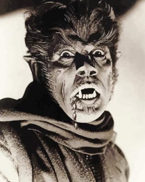 Wolfman Paint By Numbers