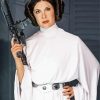 Princess Leia paint by numbers