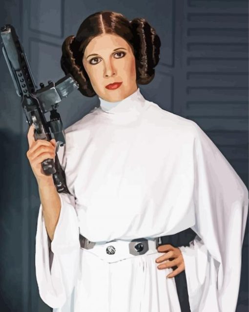 Princess Leia paint by numbers